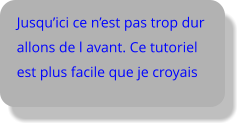 Jusqu’ici ce n’est pas trop dur allons de l avant. Ce tutoriel est plus facile que je croyais